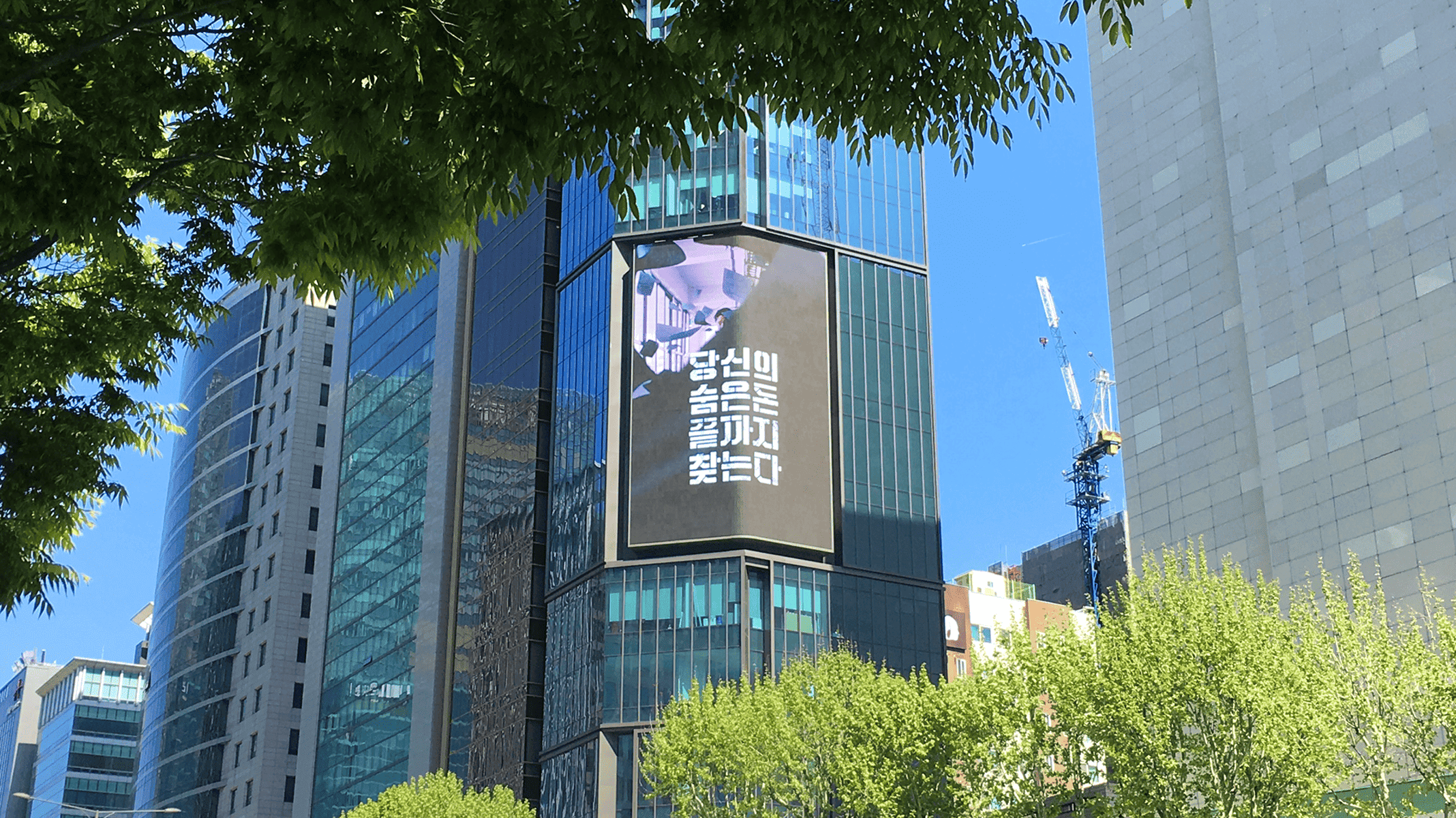 갤러리 이미지 3